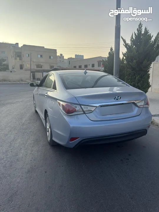 سوناتا وارد أمريكي