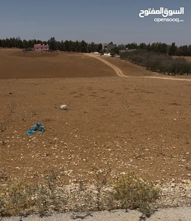 قطعة ارض زراعي وتصلح سكني داخل التنظيم قوشان مستقل مساحه 7557 متر مربع في مأدبا (ذيبان) واجهة 32 متر