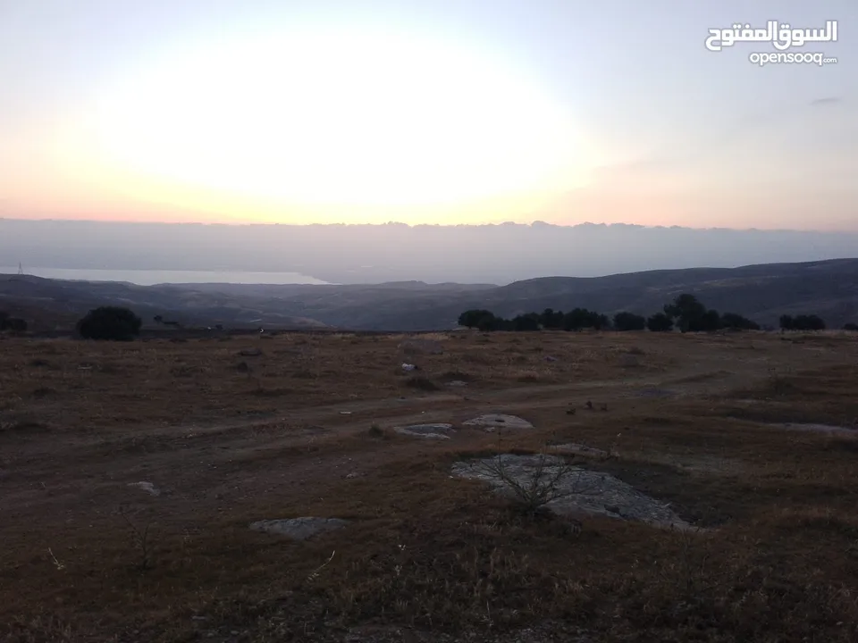 مادبا ماعين المشرفة قطعة ارض زراعية مميزة واصل الخدمات ذات اطلالة على البحر الميت واصل الخدمات
