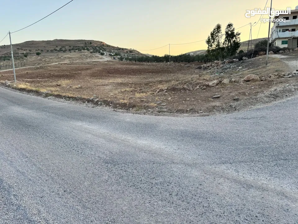 ارض للبيع مساحه 6 دونم و 400 متر النعيمه مستصلحه واصل كهرباء على شارع معبد 10 متر وقريبه من الخدمات