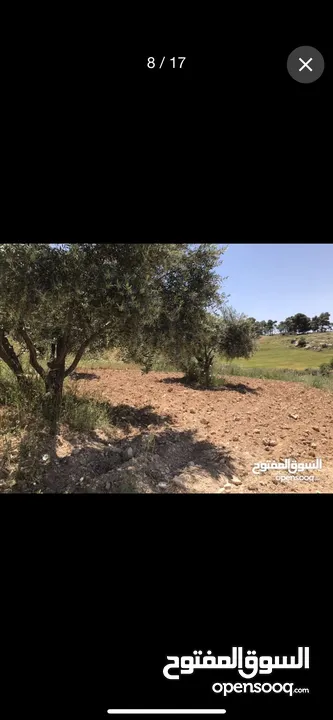 ارض للبيع في منطقه السليحي