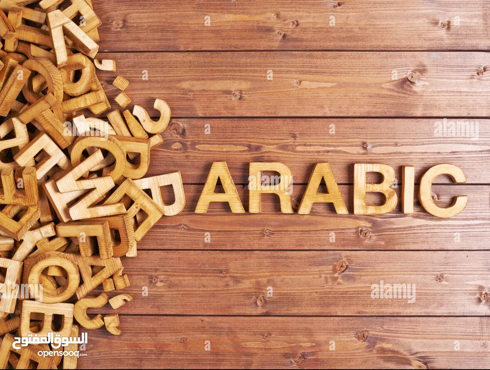 Arabic Language Lady female tutor مدرسة لغة عربية
