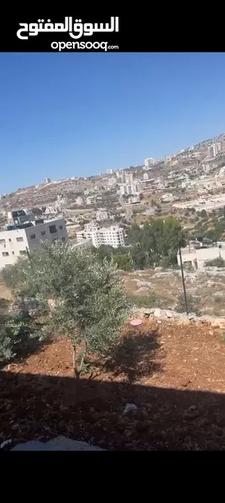 ارص للبيع في  سلواد مساحه 650متر صالحه للبيناء