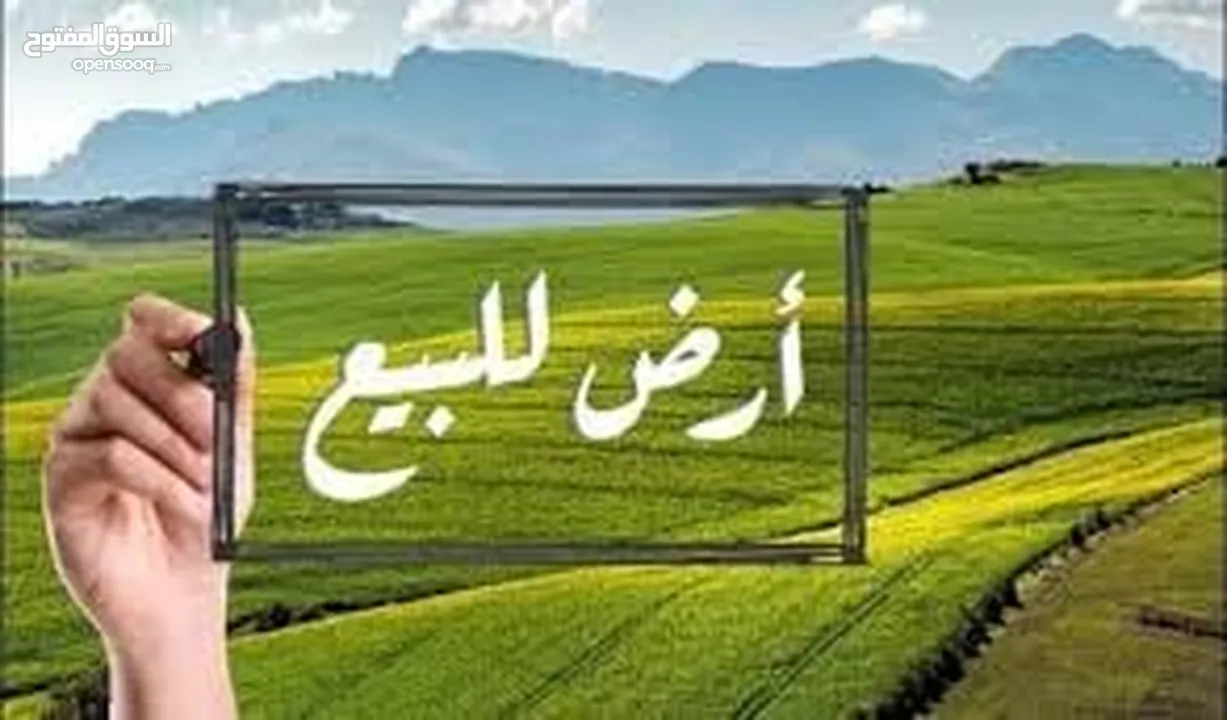 قطعة ارض قرب جامع البرقاوي مستوية لا تحتاج الى جرف
