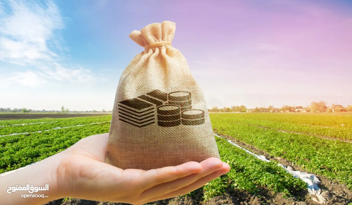 ارض سكنية في اسكان الكهرباء للبيع