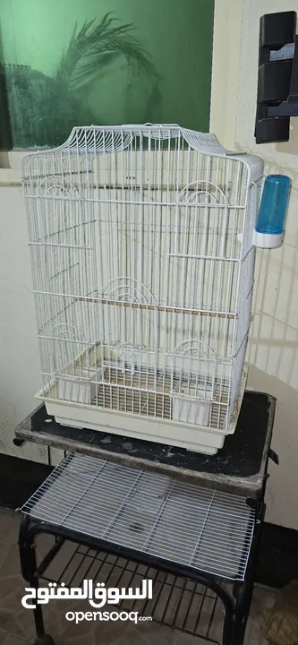 للبيع قفص نضيف بحاله ممتازه