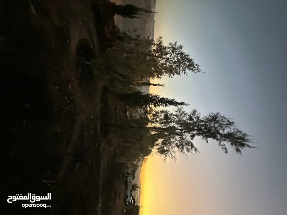 ارض مميزة 3ونص دونم للبيع من المالك مباشرة