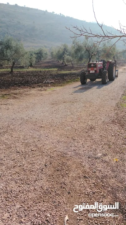 تركتر فيت ايطالي