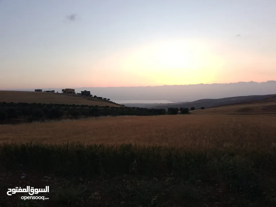 مادبا ماعين المشرفة قطعة ارض زراعية مميزة واصل الخدمات ذات اطلالة على البحر الميت واصل الخدمات