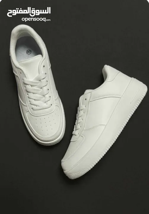 البيع بالجملة فقط