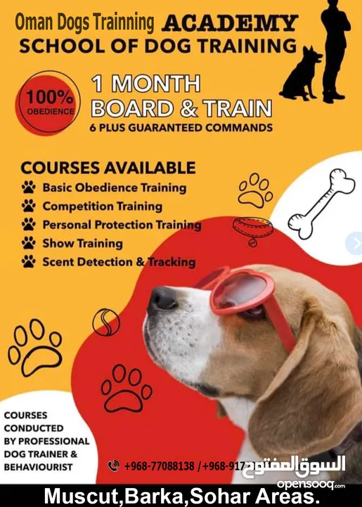 خدمات تدريب وبيع الكلاب Dogs training and sale services