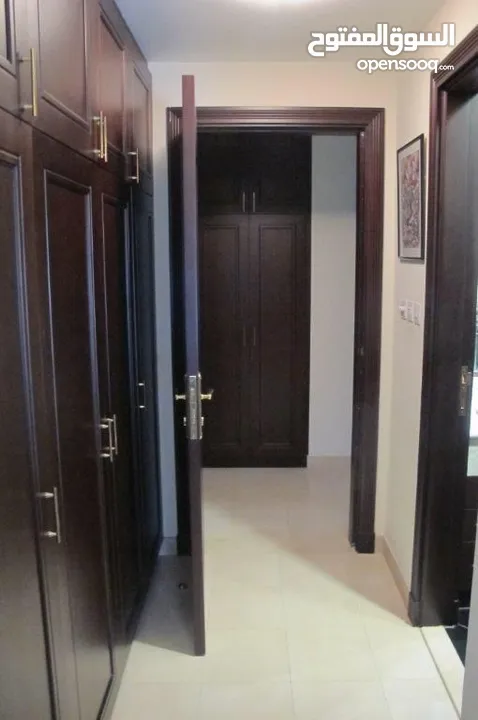 Fully furnished super deluxe apartment for rent Dabouq