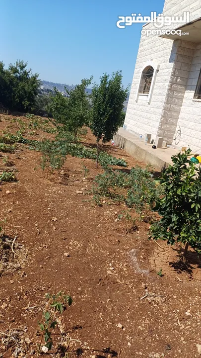فيلا مع أرض حولها للبيع