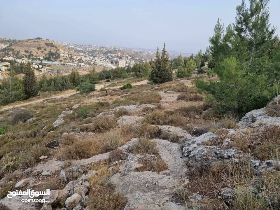 ارض للبيع قرب مستشفى دورا الحكومي