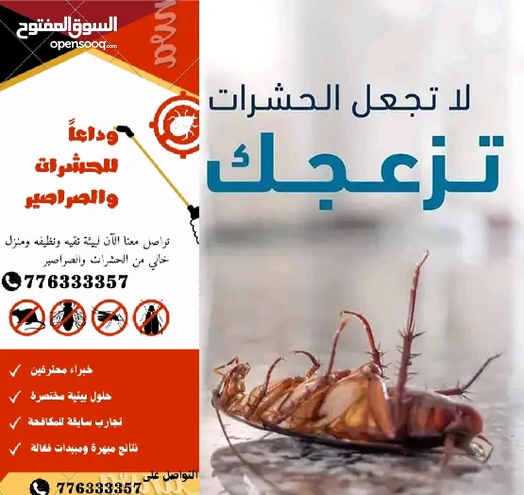 مكافحة الحشرات المنزلية بكل أنواعها في صنعاء