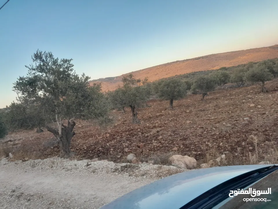 ارض البيع موقع ممتاز