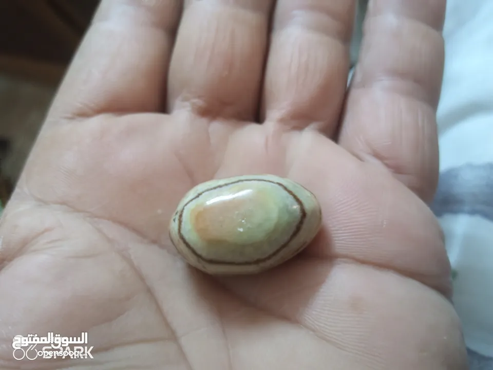 احجار كريمه طبيعيه لي هواة جمع الاحجار تعتبر من النوادر التسليم في الاردن