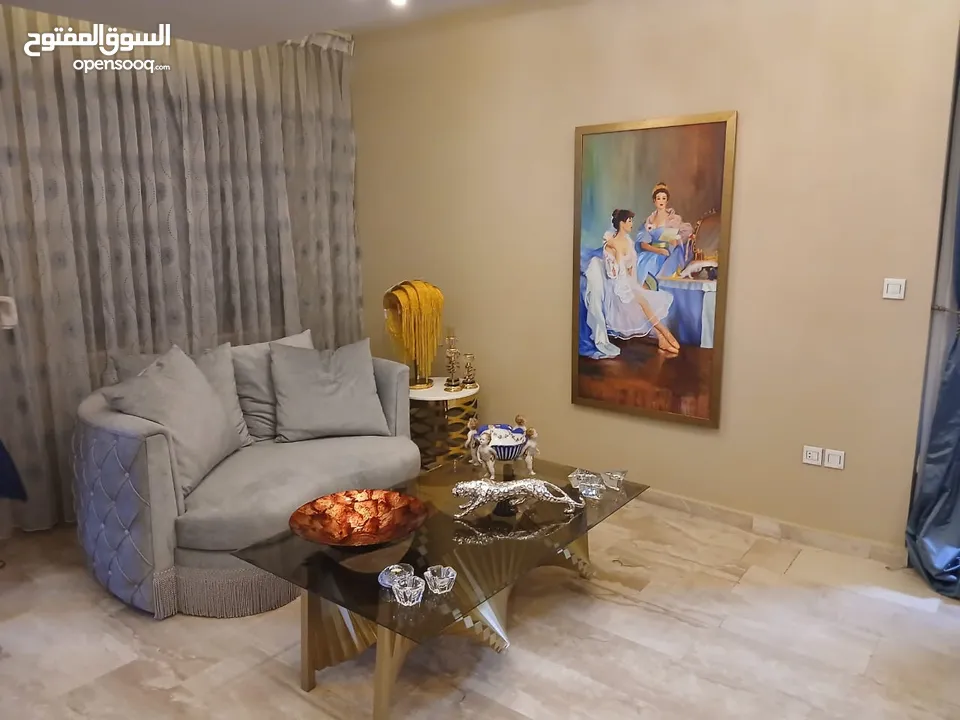 شقه طارق ارضي
