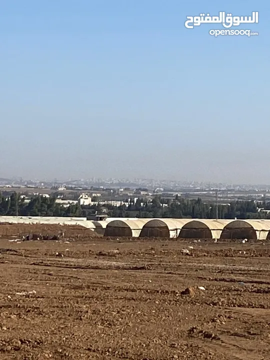 اراضي مميزة جدا في منجا للبيع