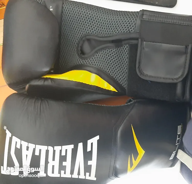 Everlast Elite Boxing Gloves