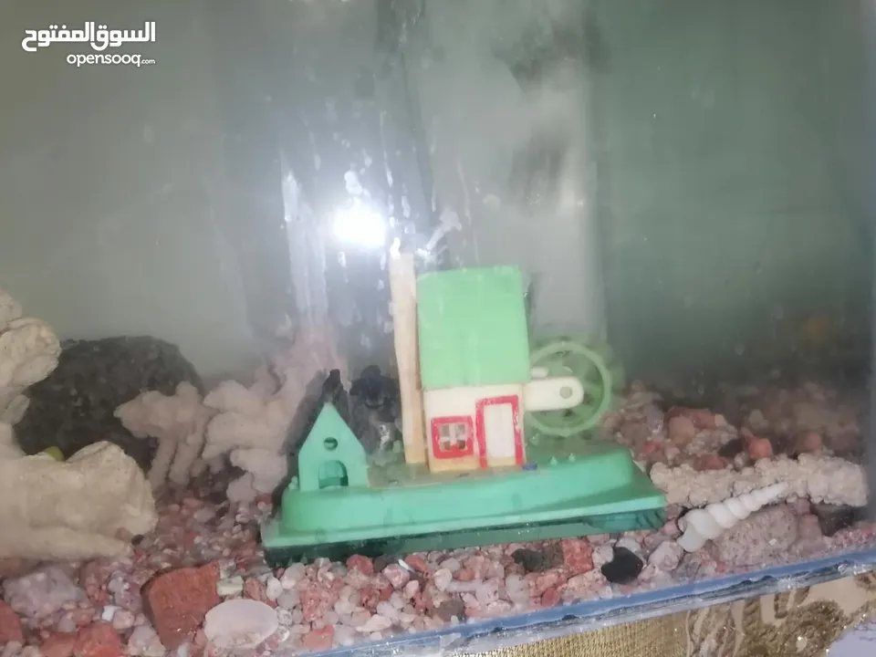 حوض سمك للبيع بسعر حرق مع الفرتلر