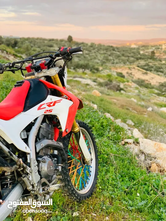 شيتح جبلي Crf 250