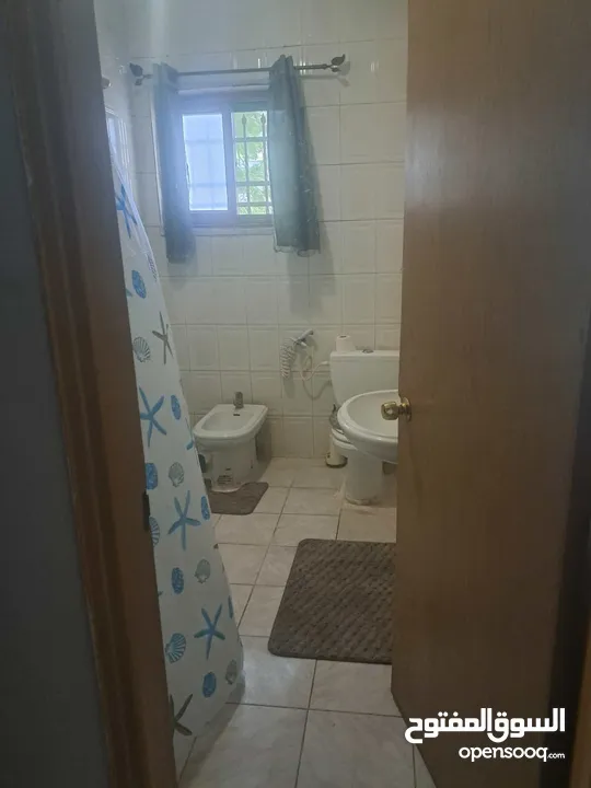 استيديوهات مفروشة شامل ماء وكهرباء وانترنت