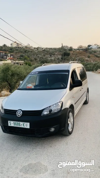 كادي 2013  شصي طويل