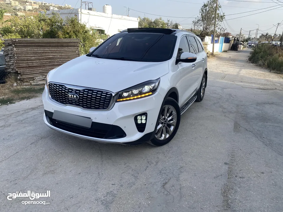 سورينتو فل الفل الفل فحص نخب ولا غرام بوايا
