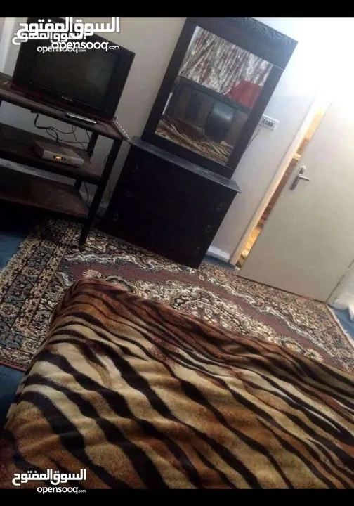 شقة مفروشة ستوديو مفروش للايجار الزرقاء