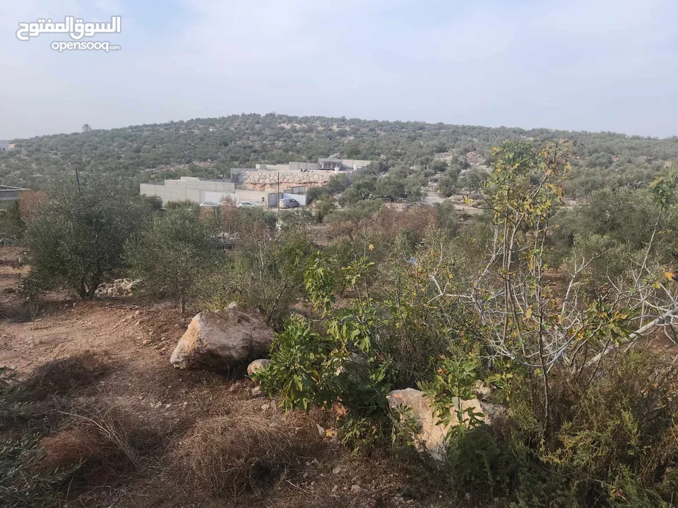 حصة 700 متر بالمسقوفة