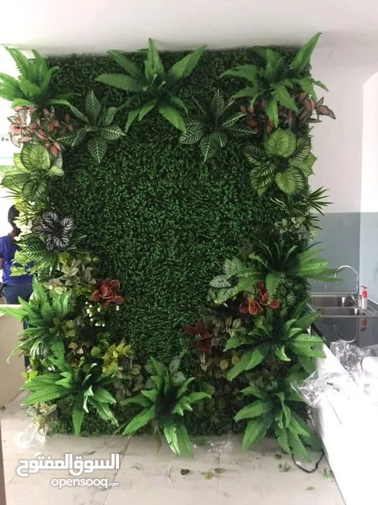 جمال الزرع المعلق الـ Green Wall  علي الحائط يستخدم في العديد من الامكان