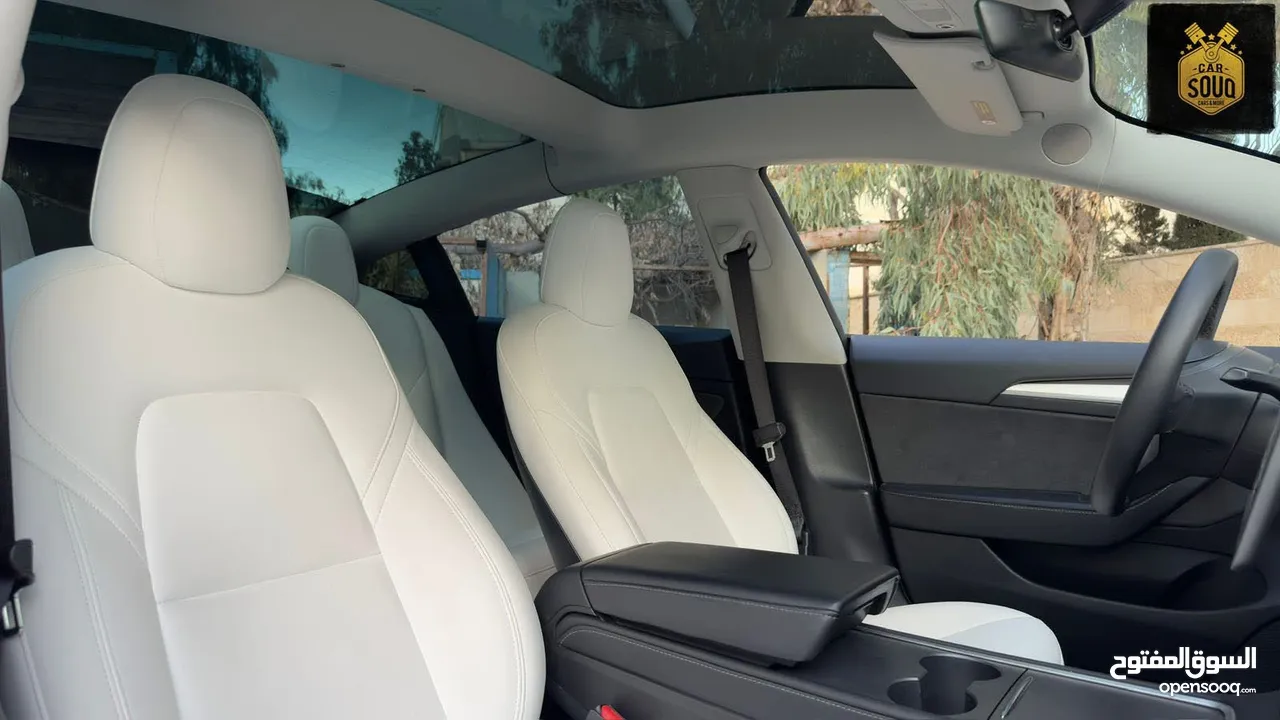 Tesla Model 3 Performance  2023