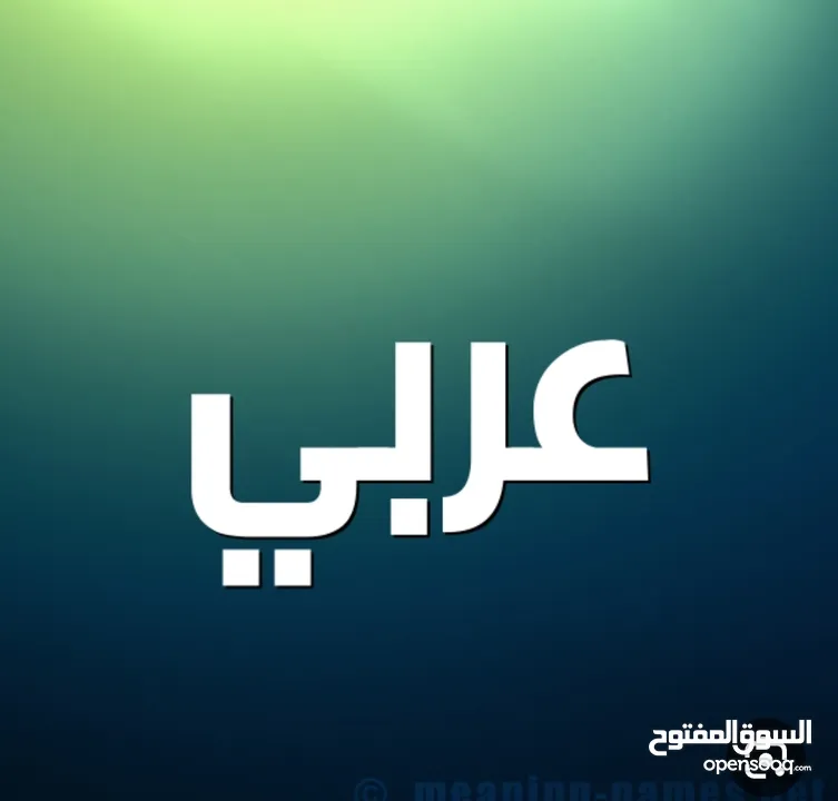 مدرس عربي.