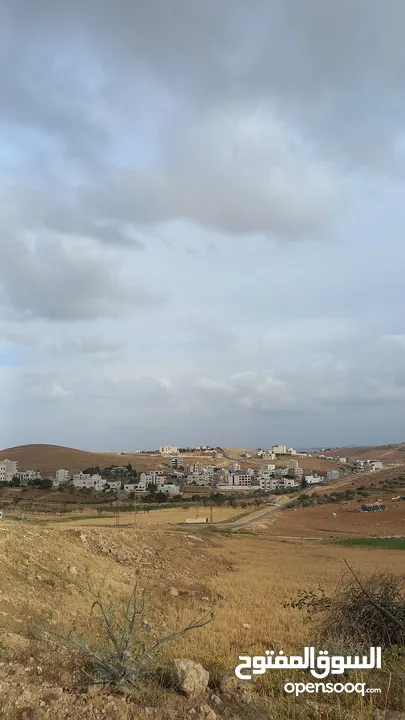 أرض البيع منطقة شفا بدران موقع فلل مميز بسعر مغري