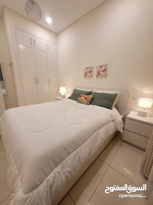 luxurious furnished flat with Ewa 350
