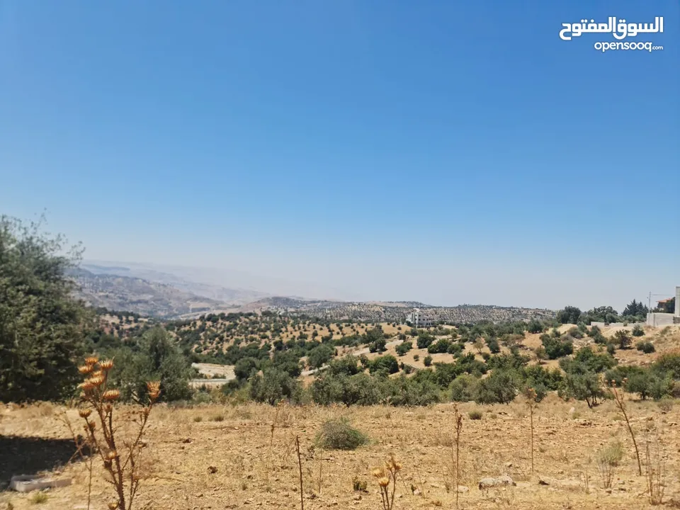 ارض للبيع 500 م في اجمل مناطق المملكه بدر الجديده (الغروس الغربي) على شارعين