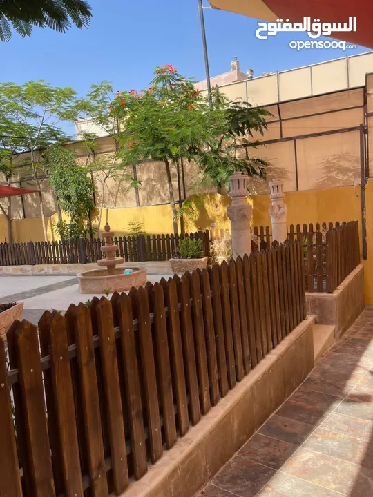 شاليهات للإيجار