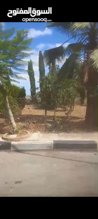 ارض تيجاري ع الشارع  اريسي للستثمار ام الشرايط