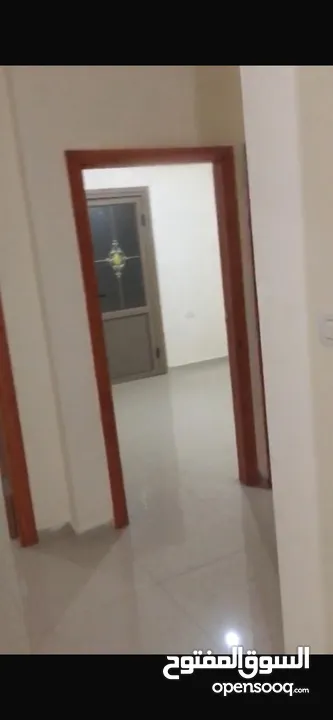 شقة للايجار