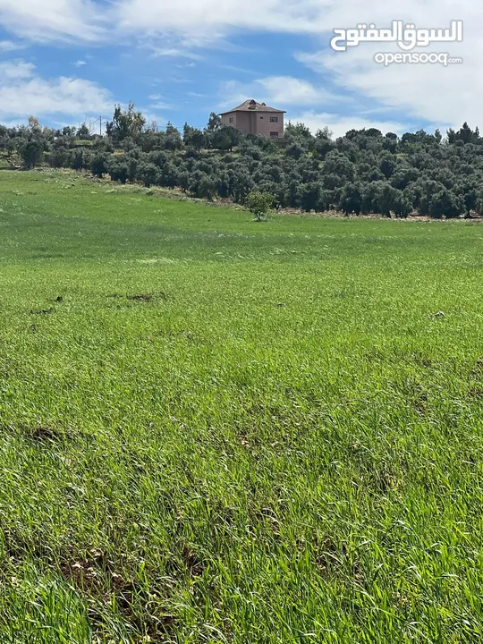 للبيع منبسطه واصل الخدمات اطلاله رائعة منطقة مزارع وشاليهات فخمه.