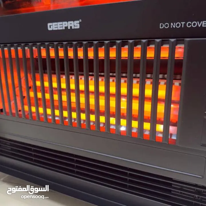 صورة القصور والفلل