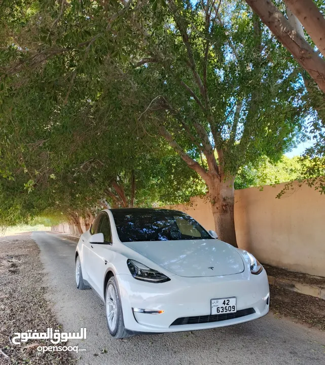 Tesla model y 2021