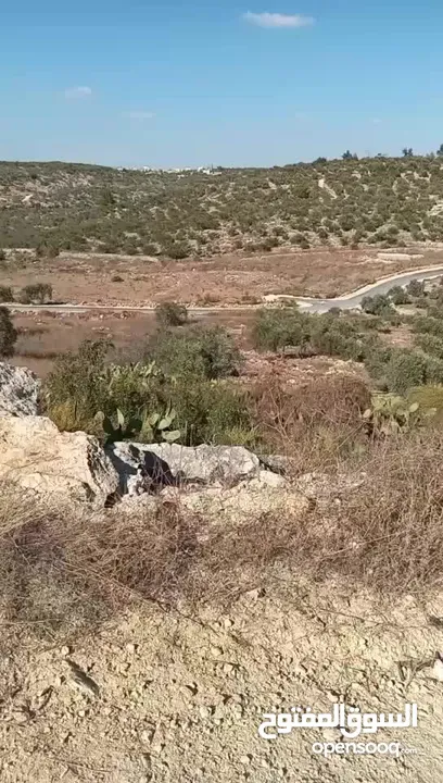 ارض للبيع طولكرم