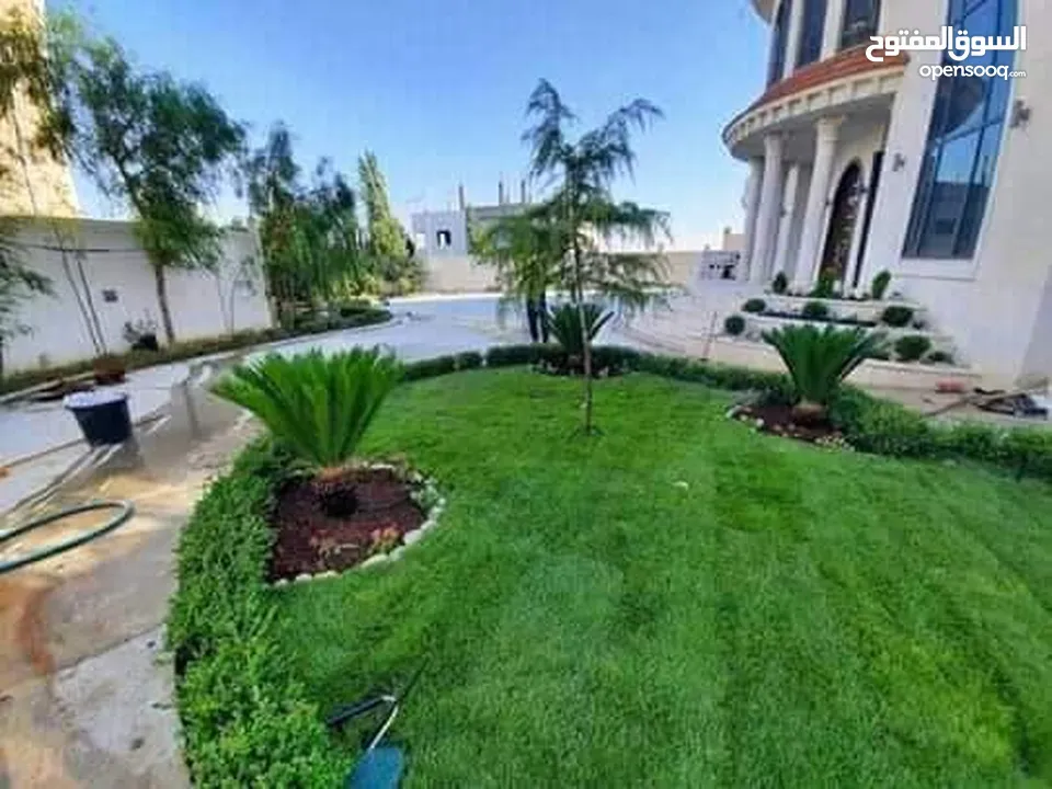 نجيل طبيعي وصناعي