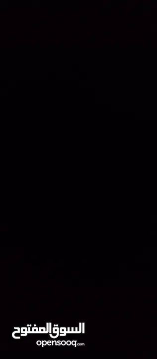 شقه للايجار