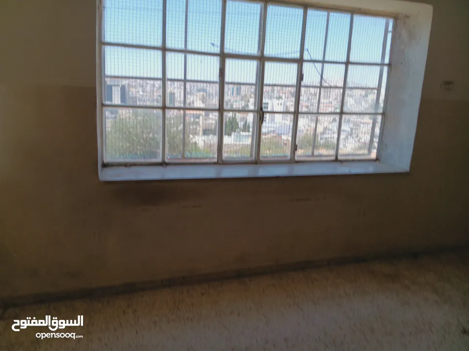 شقة للإيجار
