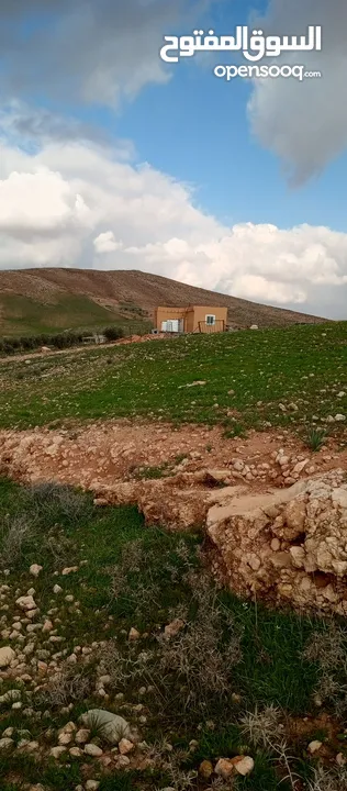 ارض زراعية للبيع  .. قطعه زراعية .   محافظة مادبا . ذيبان . مليح . حوض العلاقي . مساحة اربع دنمات