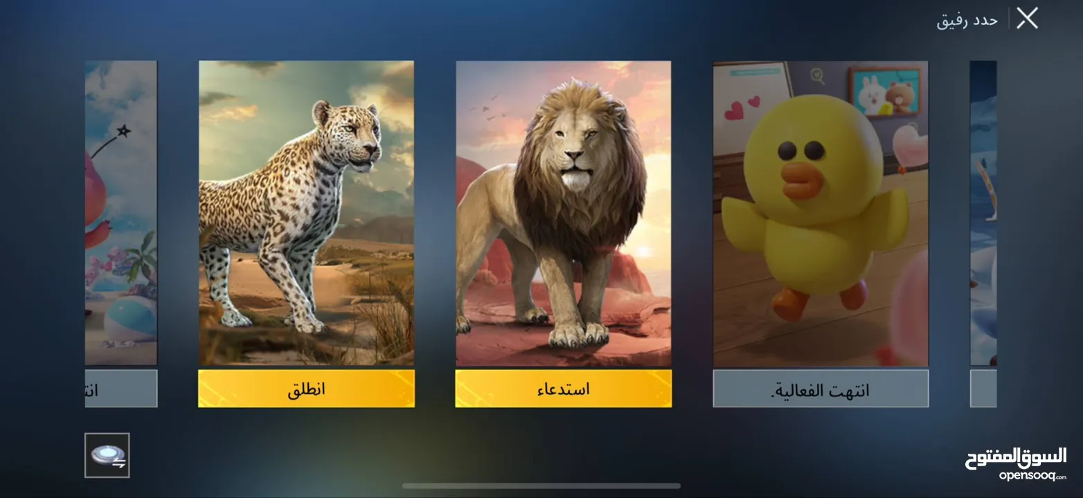 حساب ببجي ل بيع باسعر حرققق داخل ماركا شماليه