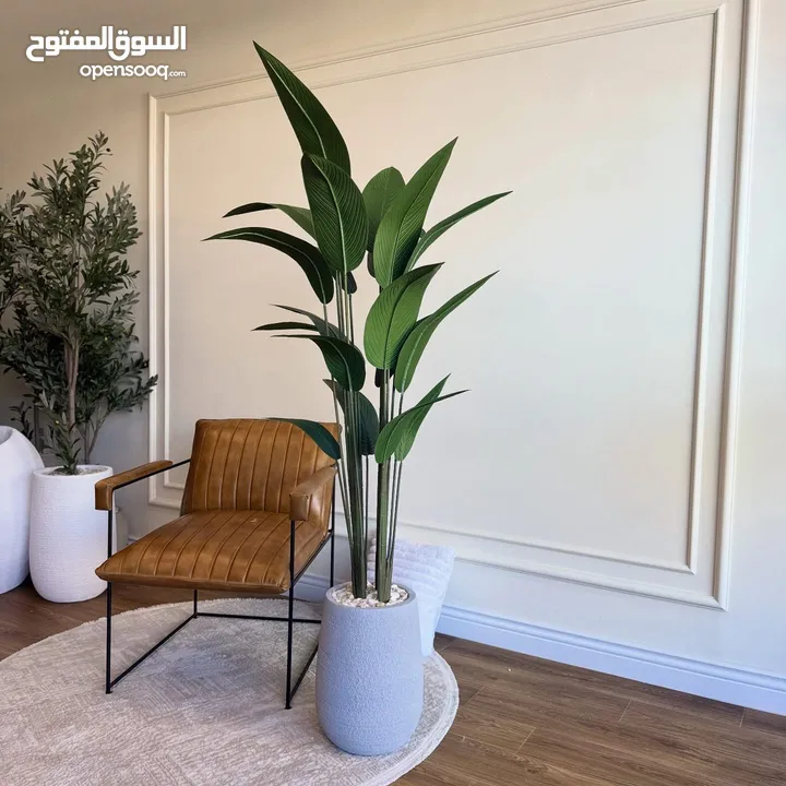 اجمل واحدث القواوبر